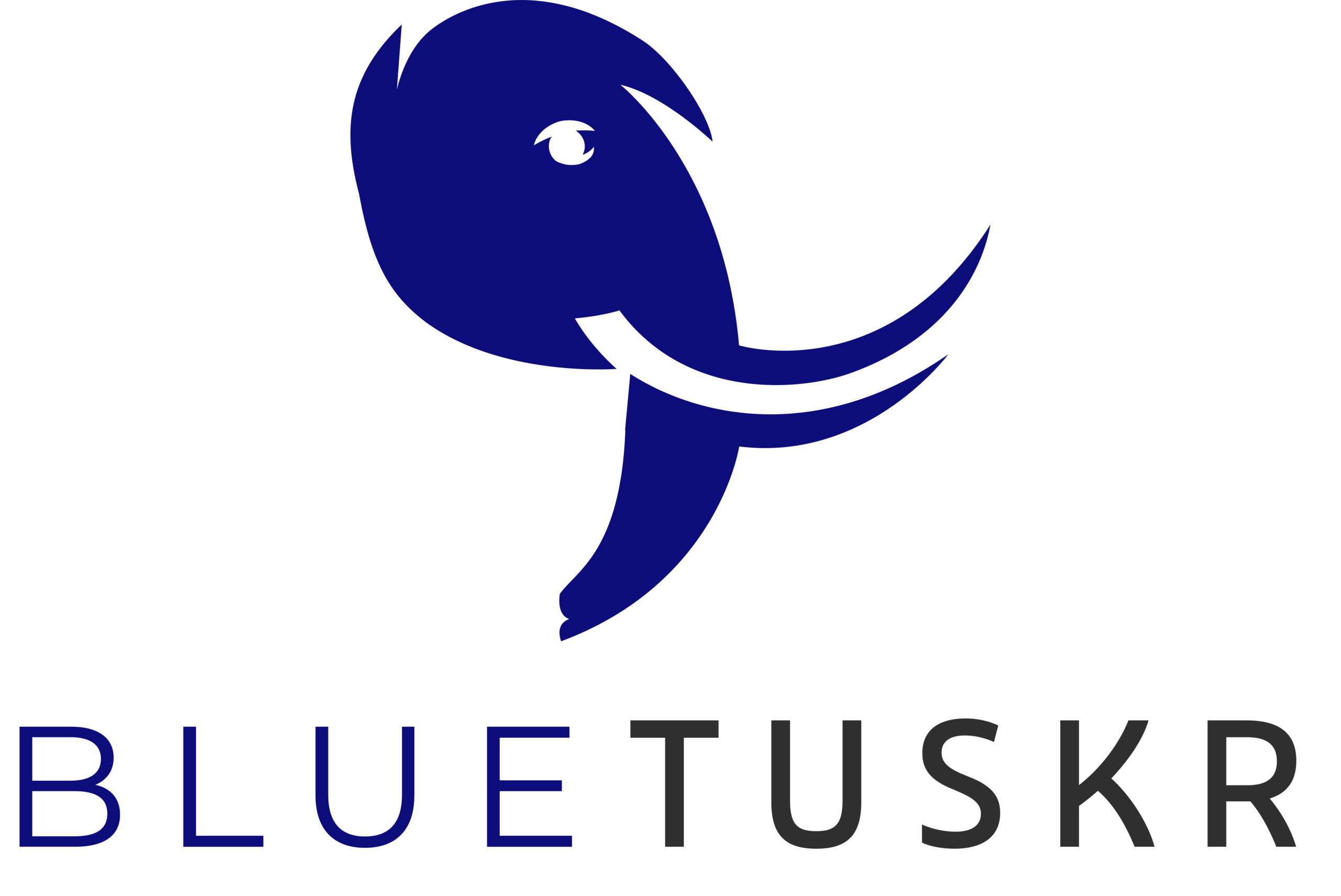 Sponsor